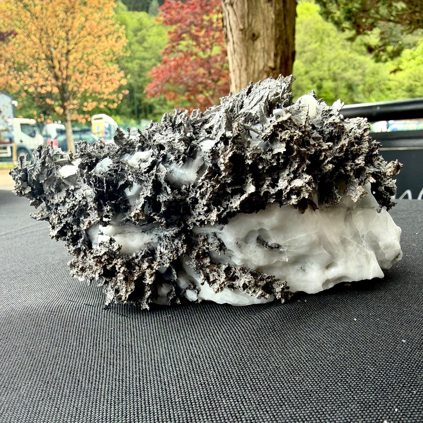 Natural Native Silver on Calcite Matrix | Collectors Mineral Specimen (B4 #1)
