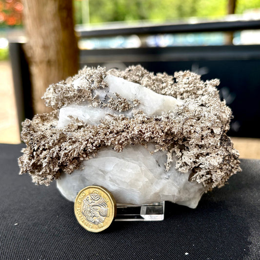 Natural Native Silver on Calcite Matrix | Collectors Mineral Specimen (B5 #1)