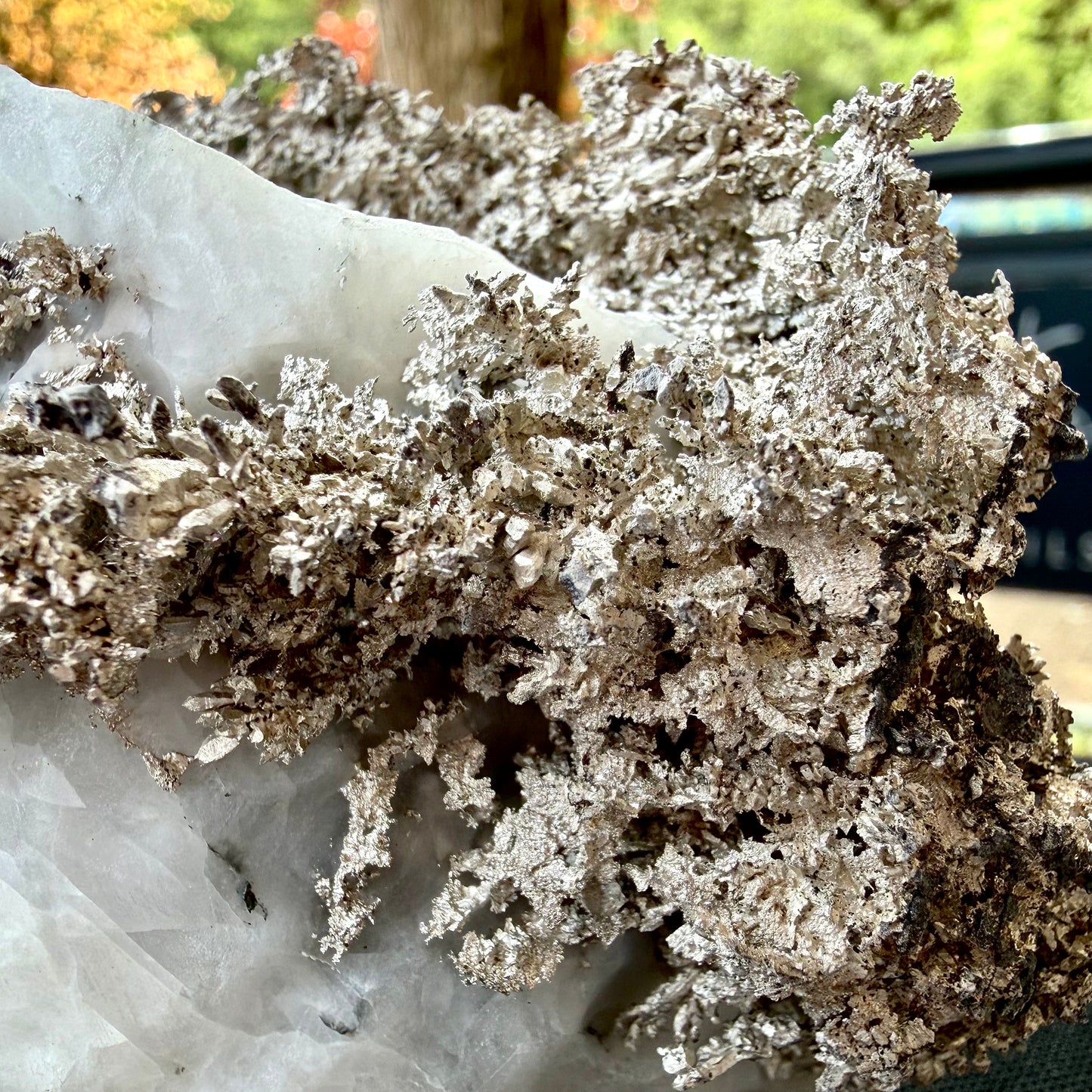 Natural Native Silver on Calcite Matrix | Collectors Mineral Specimen (B5 #1)