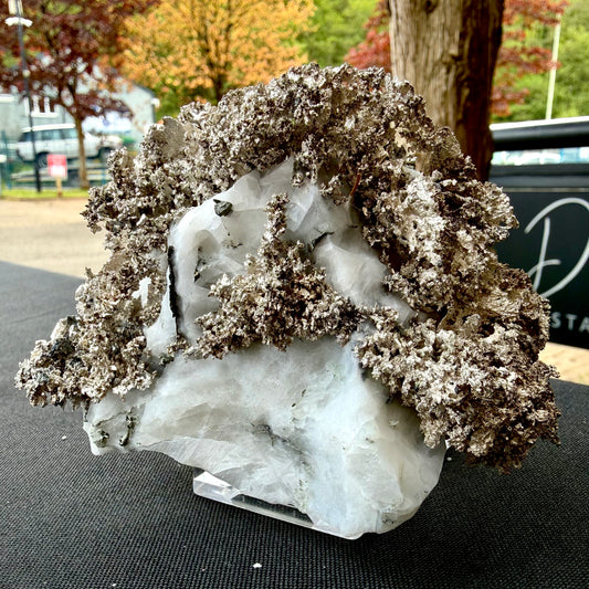 Natural Native Silver on Calcite Matrix | Collectors Mineral Specimen (B5 #1)