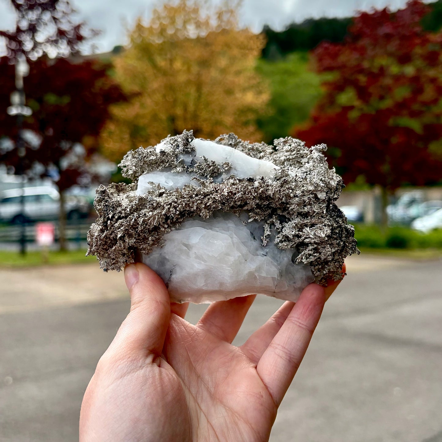 Natural Native Silver on Calcite Matrix | Collectors Mineral Specimen (B5 #1)