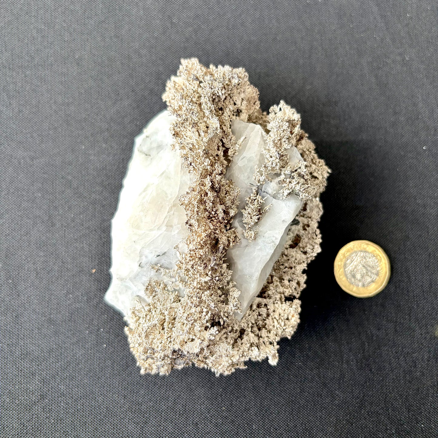 Natural Native Silver on Calcite Matrix | Collectors Mineral Specimen (B5 #1)