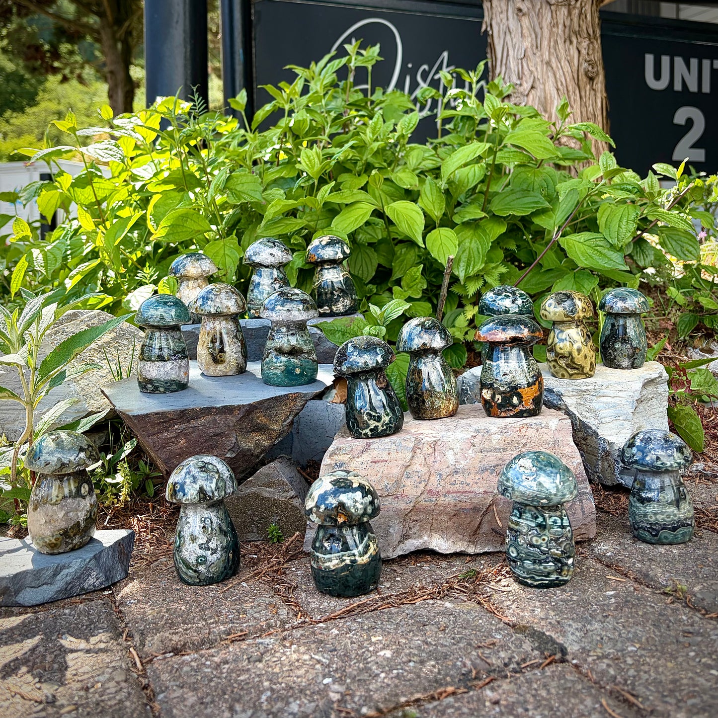 Ocean Jasper Carved Mushrooms | Intuitive Collective Selection