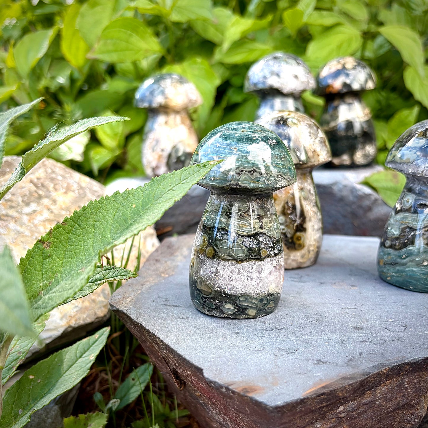 Ocean Jasper Carved Mushrooms | Intuitive Collective Selection