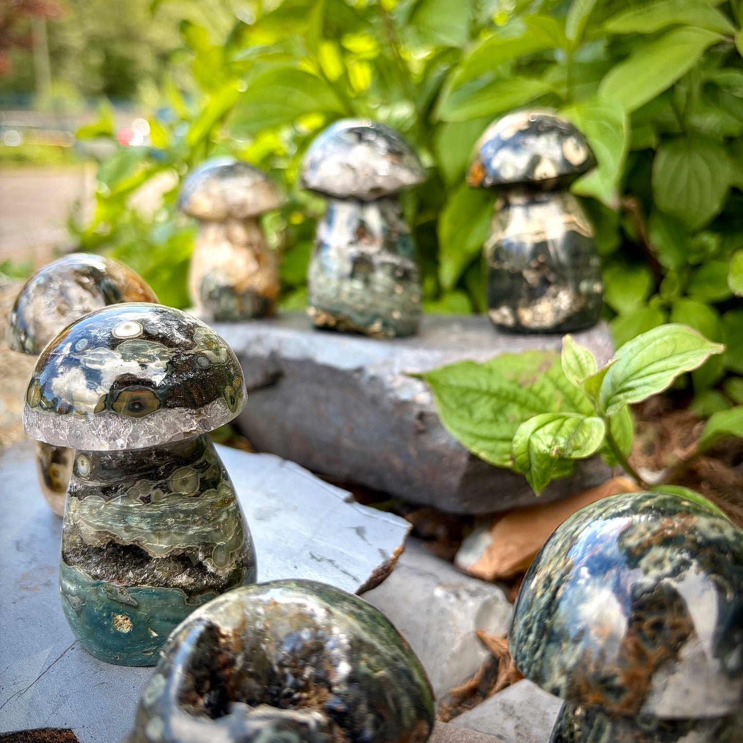 Ocean Jasper Carved Mushrooms | Intuitive Collective Selection