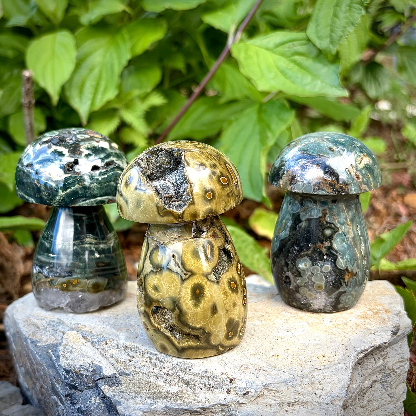 Ocean Jasper Carved Mushrooms | Intuitive Collective Selection