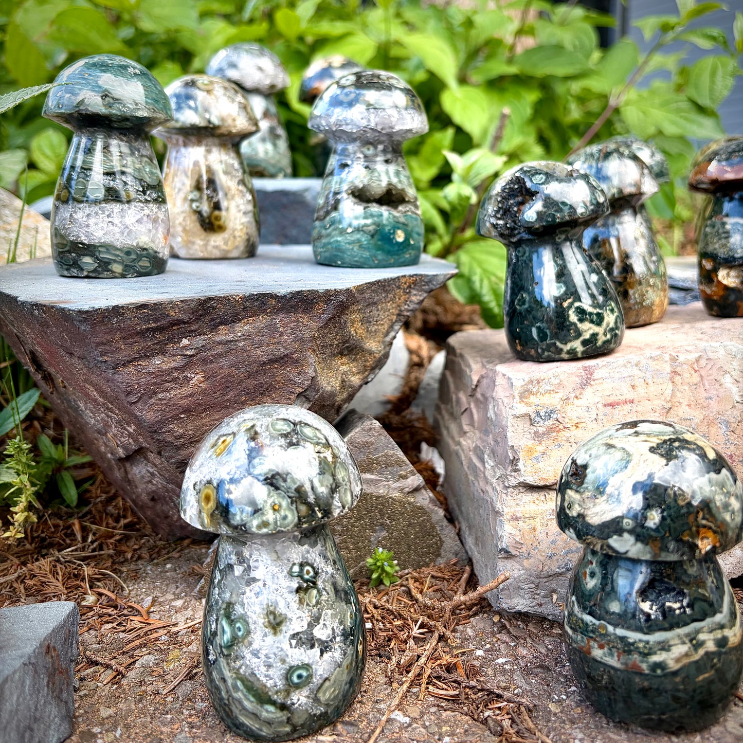Ocean Jasper Carved Mushrooms | Intuitive Collective Selection