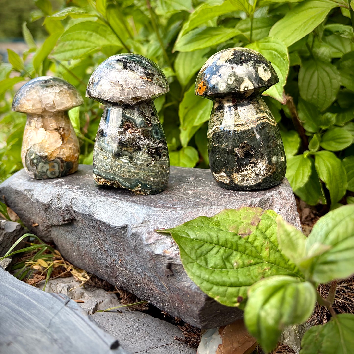 Ocean Jasper Carved Mushrooms | Intuitive Collective Selection
