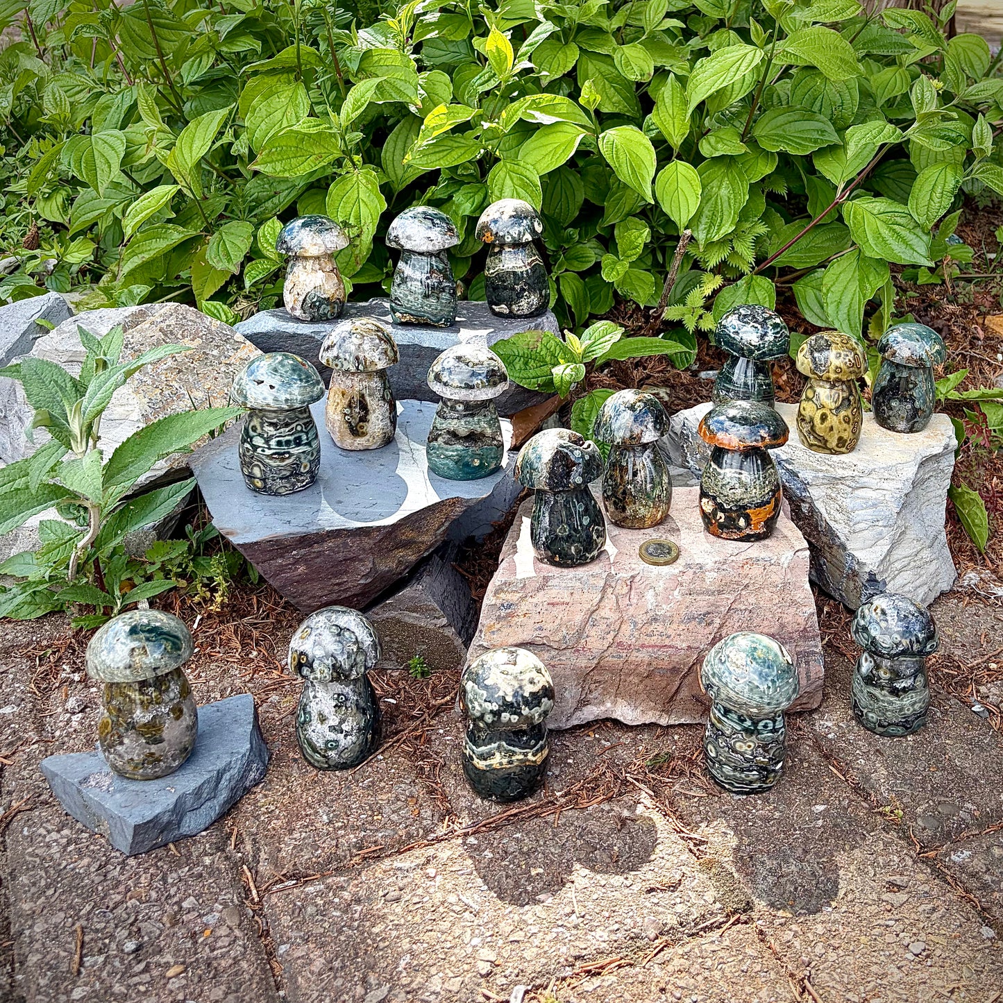 Ocean Jasper Carved Mushrooms | Intuitive Collective Selection