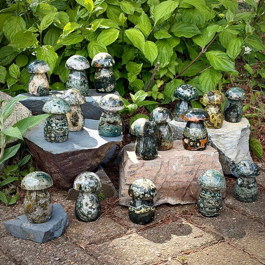 Ocean Jasper Carved Mushrooms | Intuitive Collective Selection