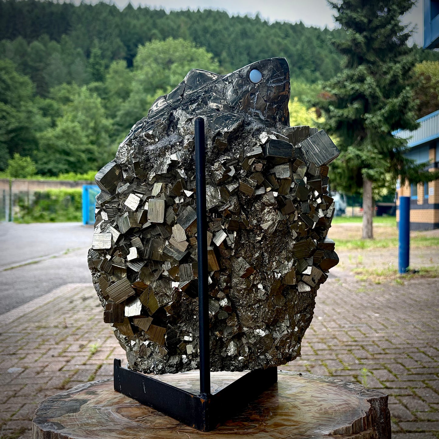XXL Hand-Carved Pyrite & Quartz Iguana / Lizard Crystal Sculpture | Interior Design Piece | 18.95KG