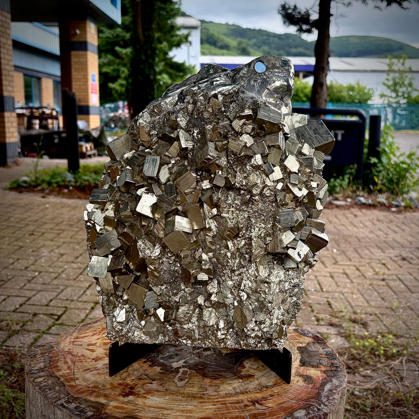XXL Hand-Carved Pyrite & Quartz Iguana / Lizard Crystal Sculpture | Interior Design Piece | 18.95KG