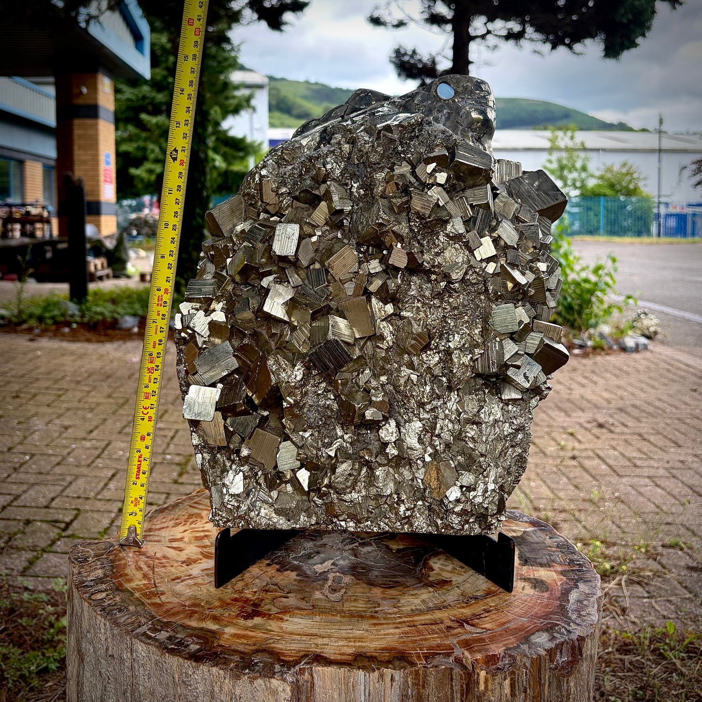 XXL Hand-Carved Pyrite & Quartz Iguana / Lizard Crystal Sculpture | Interior Design Piece | 18.95KG