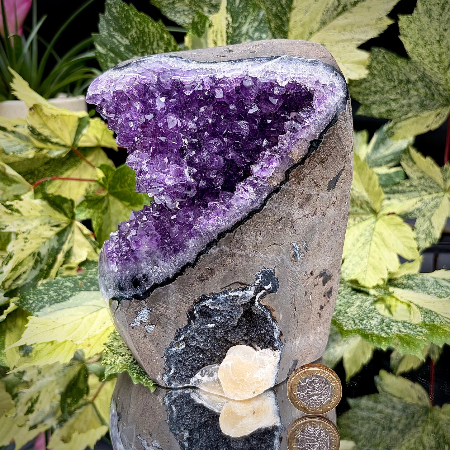 High-Grade Uruguayan Amethyst Crystal Geode - Cut Base | AMU-66