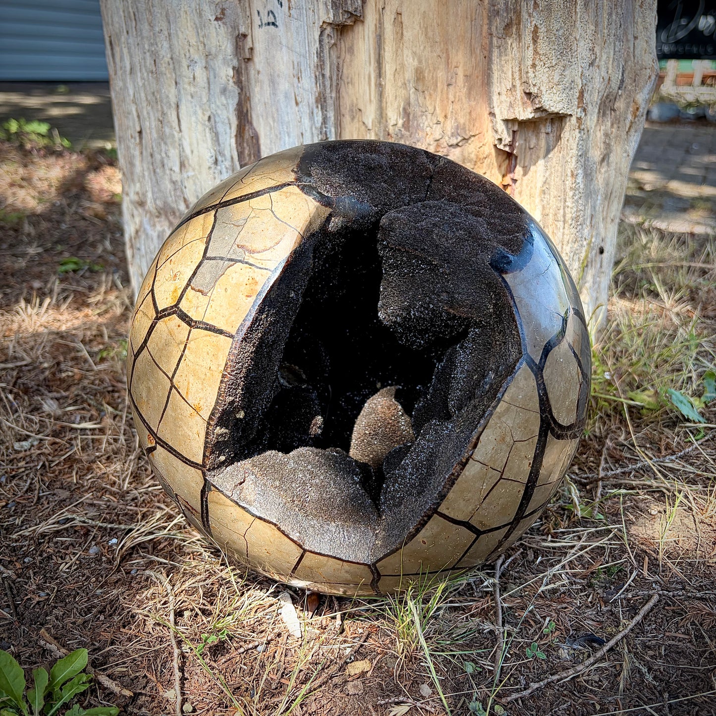 XL Natural Septarian "Dragon Stone" Crystal Geode Sphere | 10KG