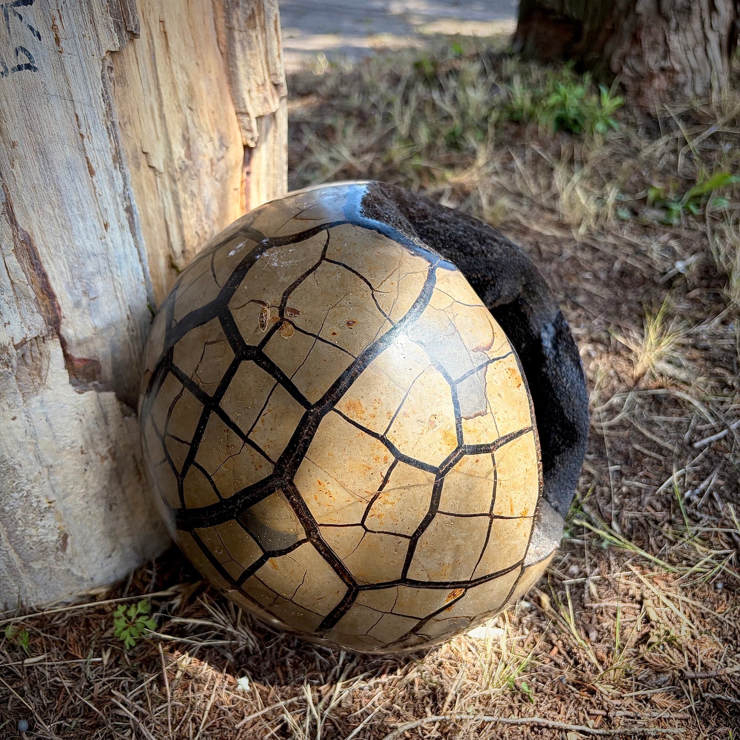 XL Natural Septarian "Dragon Stone" Crystal Geode Sphere | 10KG