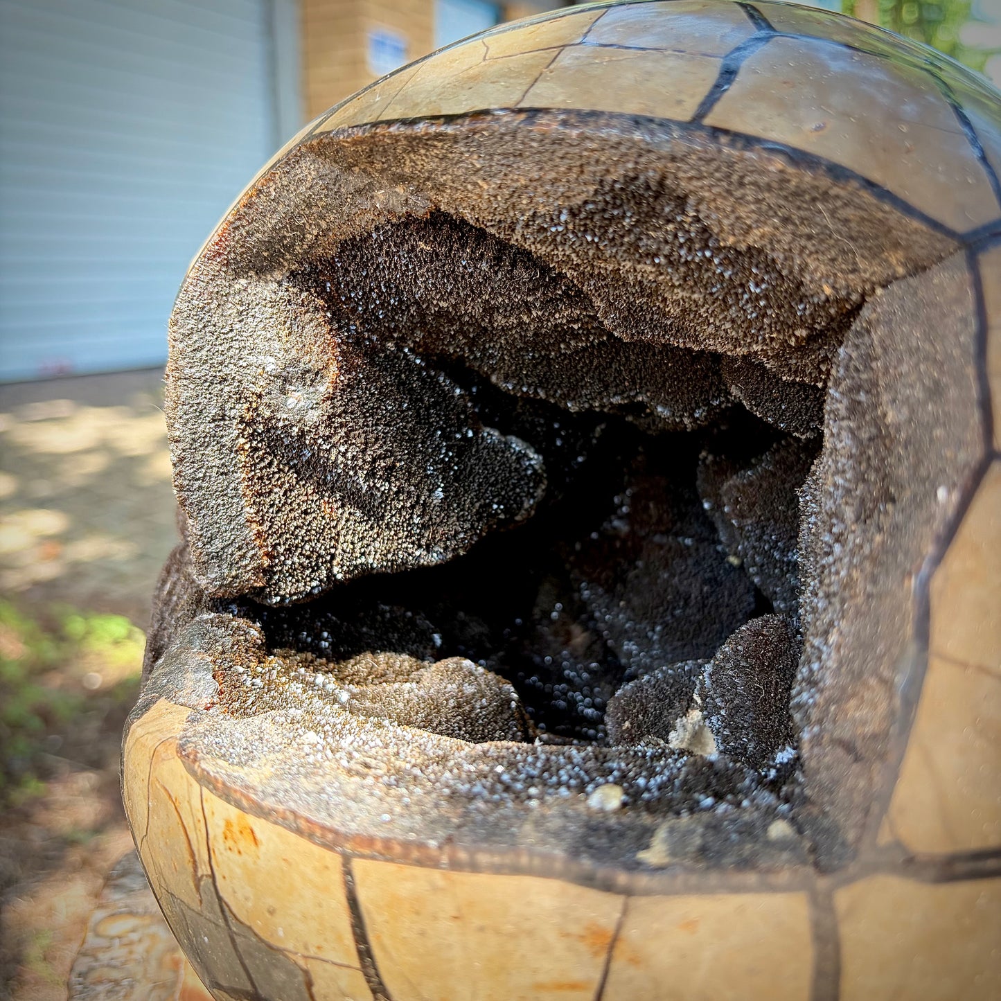 XL Natural Septarian "Dragon Stone" Crystal Geode Sphere | 10KG