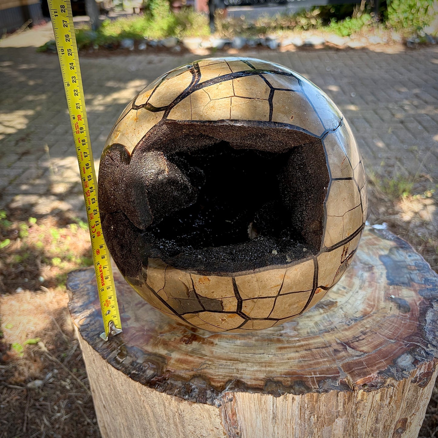 XL Natural Septarian "Dragon Stone" Crystal Geode Sphere | 10KG