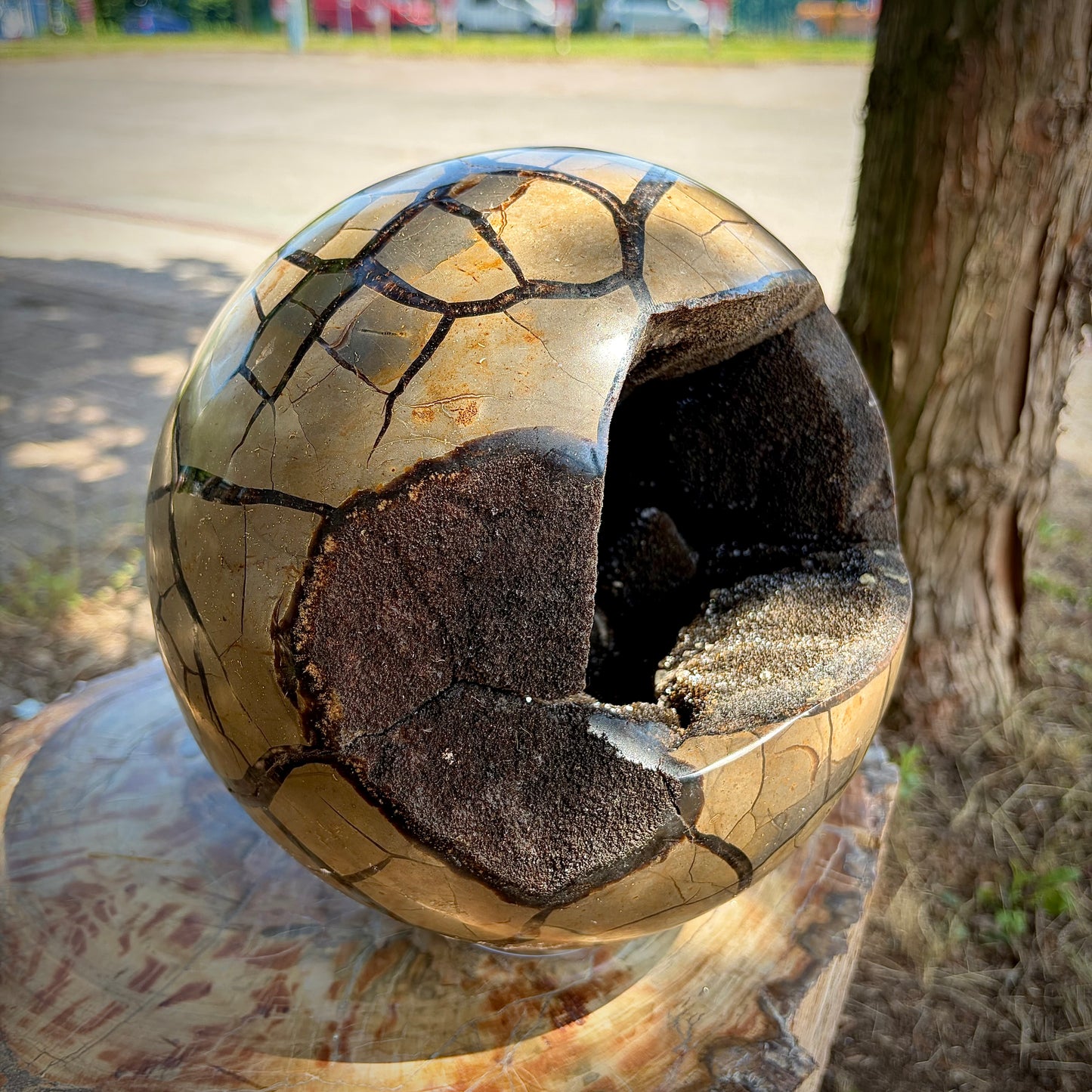XL Natural Septarian "Dragon Stone" Crystal Geode Sphere | 10KG