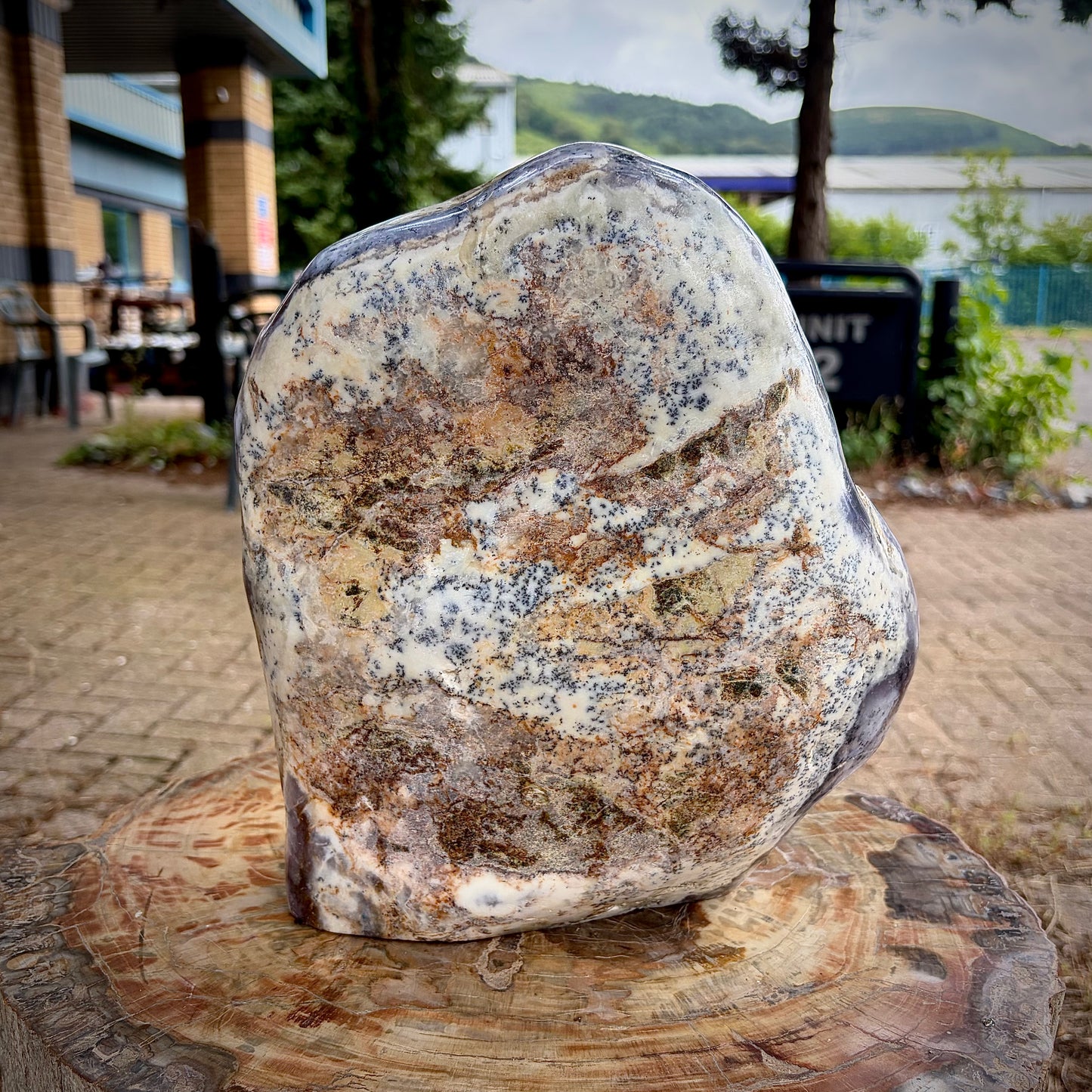 XL Polished Violet Dendritic Opal Merlinite Freeform Crystal | 10.2KG