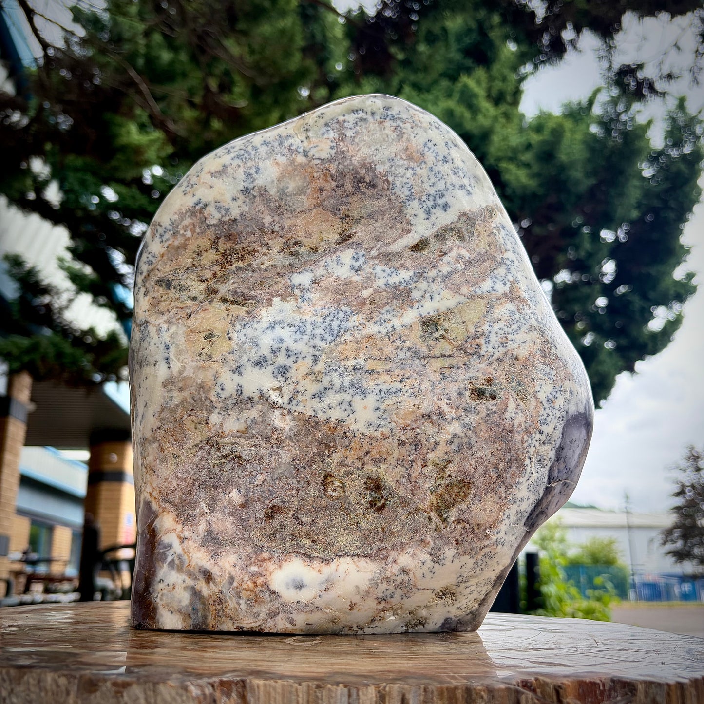 XL Polished Violet Dendritic Opal Merlinite Freeform Crystal | 10.2KG