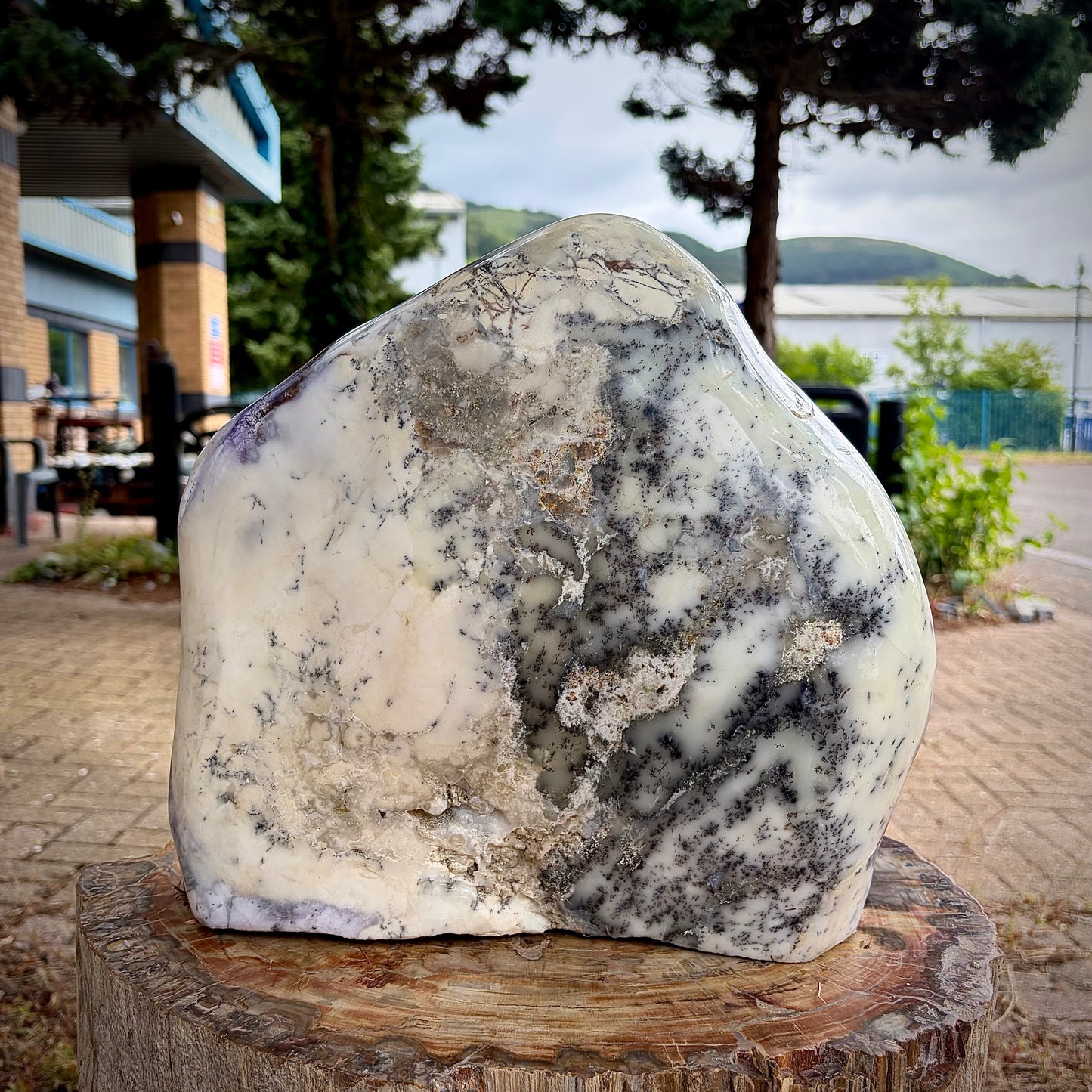 XXL Polished Violet Dendritic Opal Merlinite Freeform Crystal w/ Druzy | 19.4KG