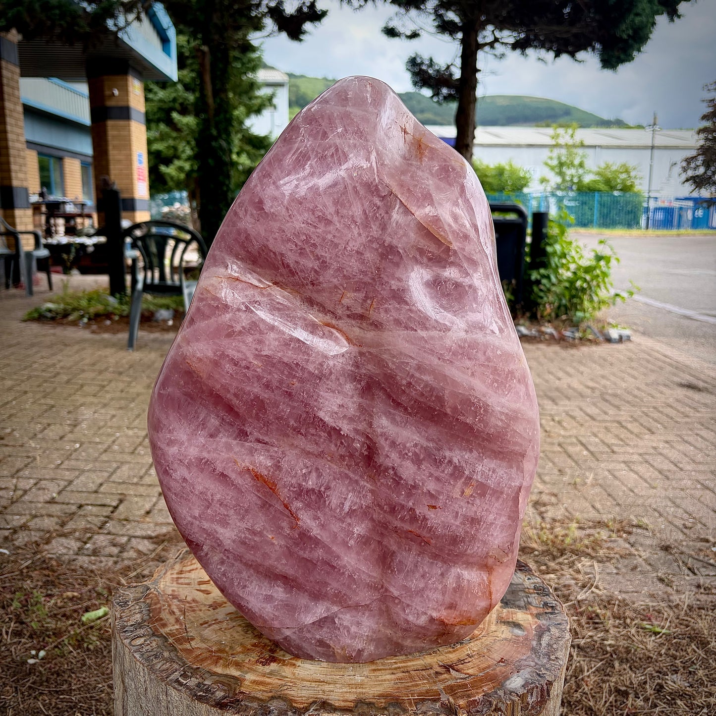XXL Polished Rose Quartz Freeform Carving | 28KG