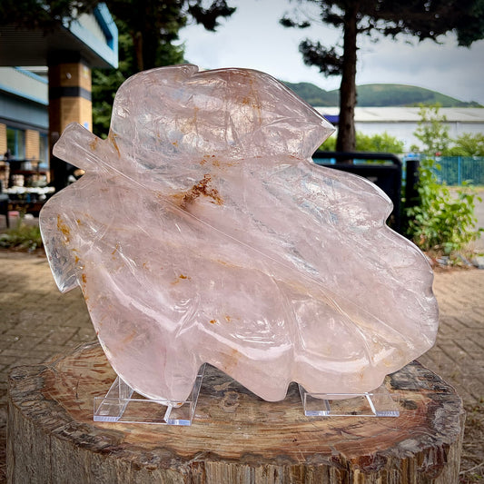 XL Polished Rose Quartz Leaf Carving | 4.1KG