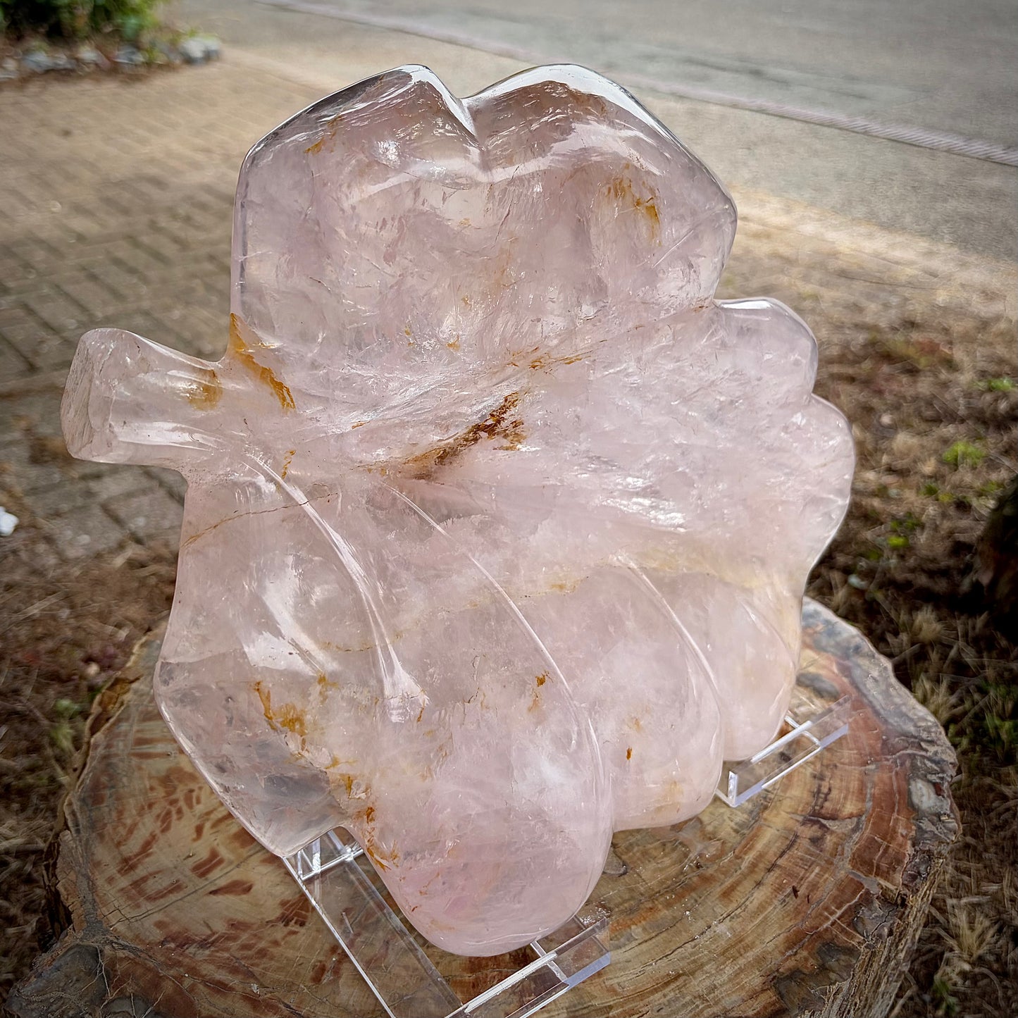 XL Polished Rose Quartz Leaf Carving | 4.1KG