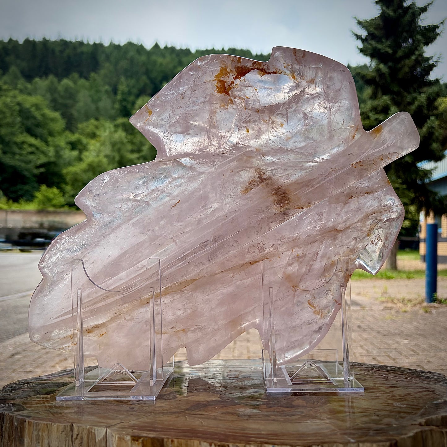 XL Polished Rose Quartz Leaf Carving | 4.1KG