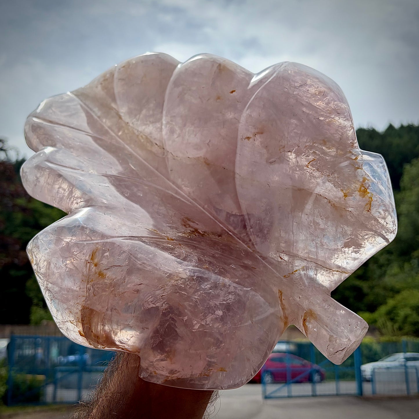 XL Polished Rose Quartz Leaf Carving | 4.1KG