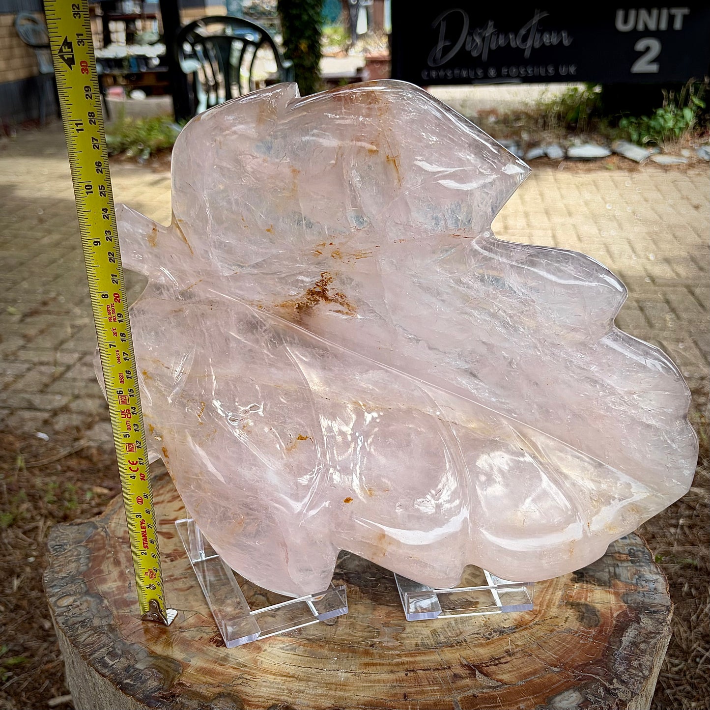 XL Polished Rose Quartz Leaf Carving | 4.1KG