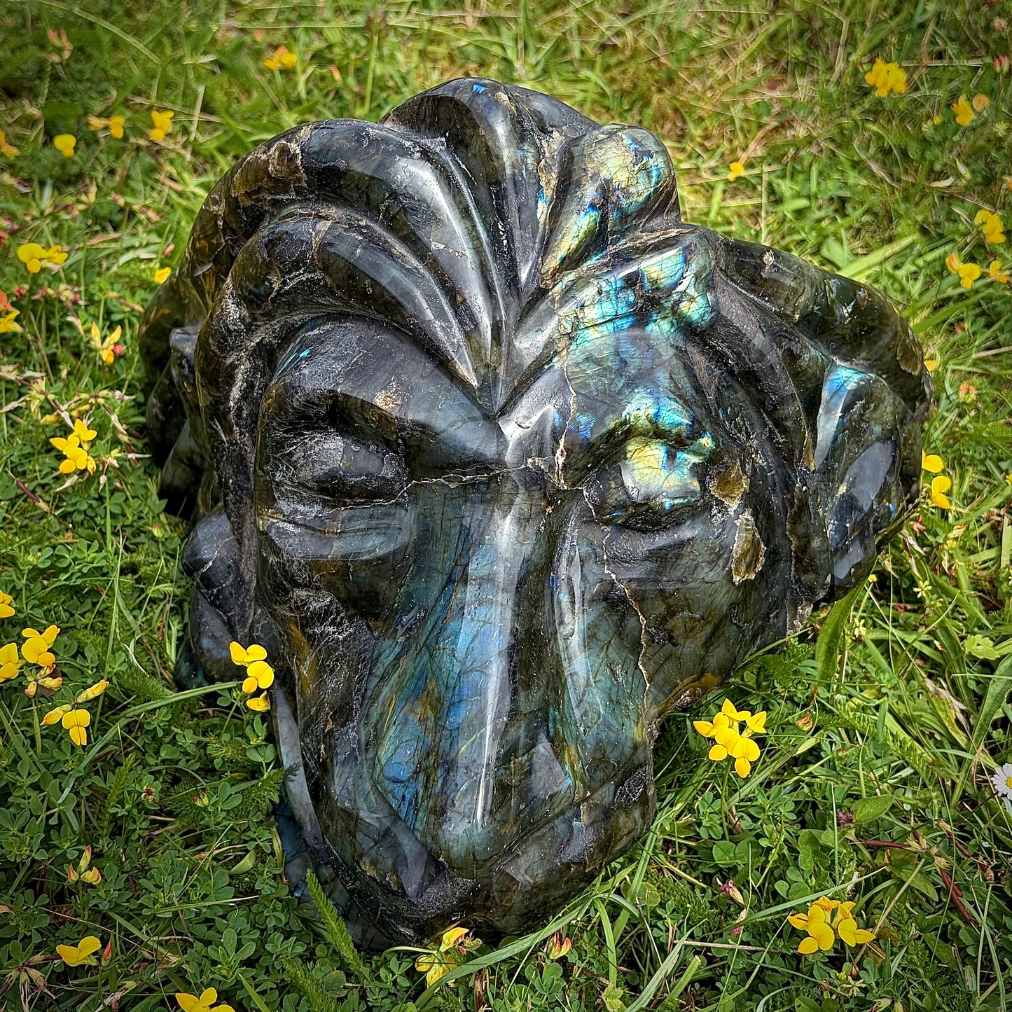 XL Hand-Carved Rastafarian Labradorite Multi-Faceted Lion Sculpture | 17.5KG