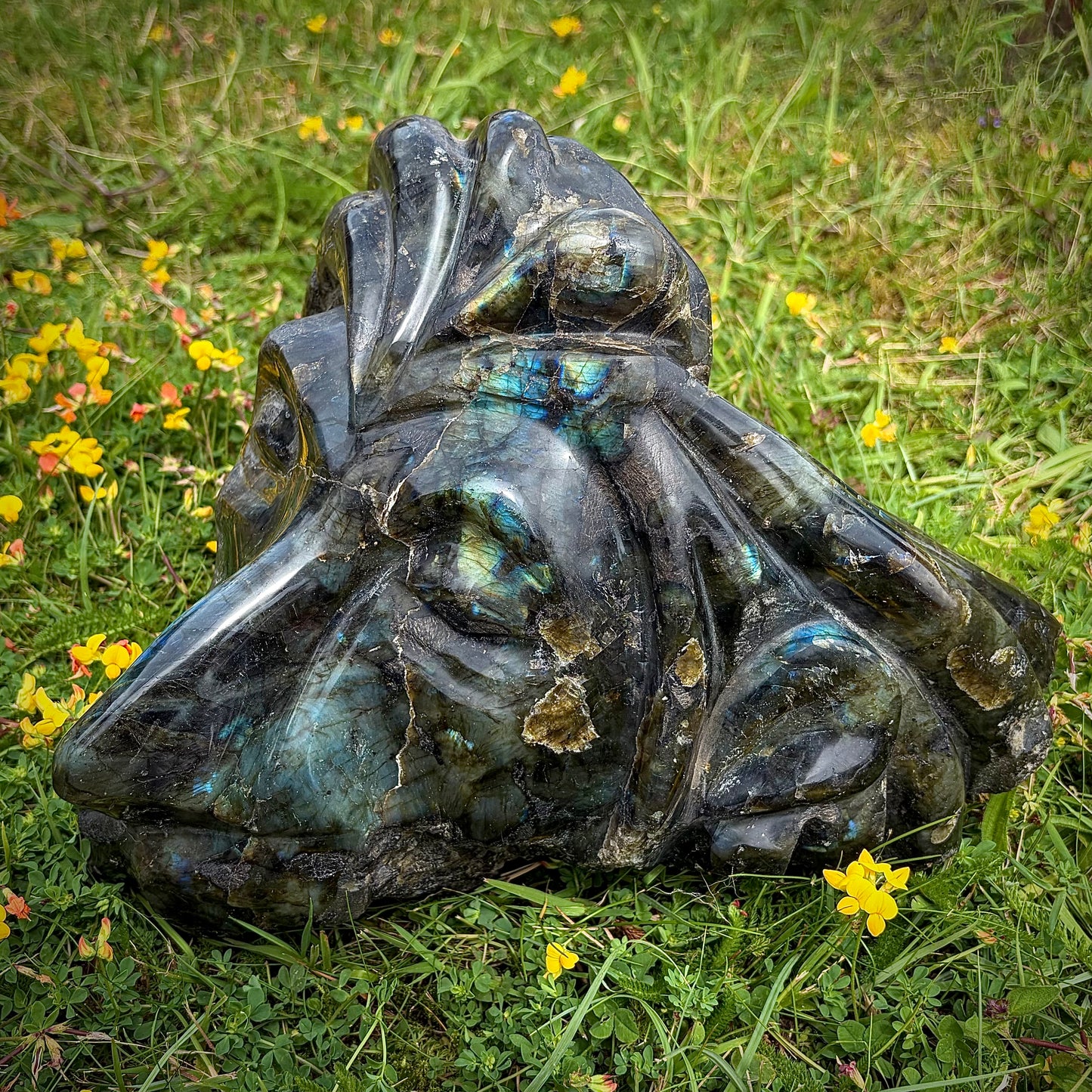 XL Hand-Carved Rastafarian Labradorite Multi-Faceted Lion Sculpture | 17.5KG