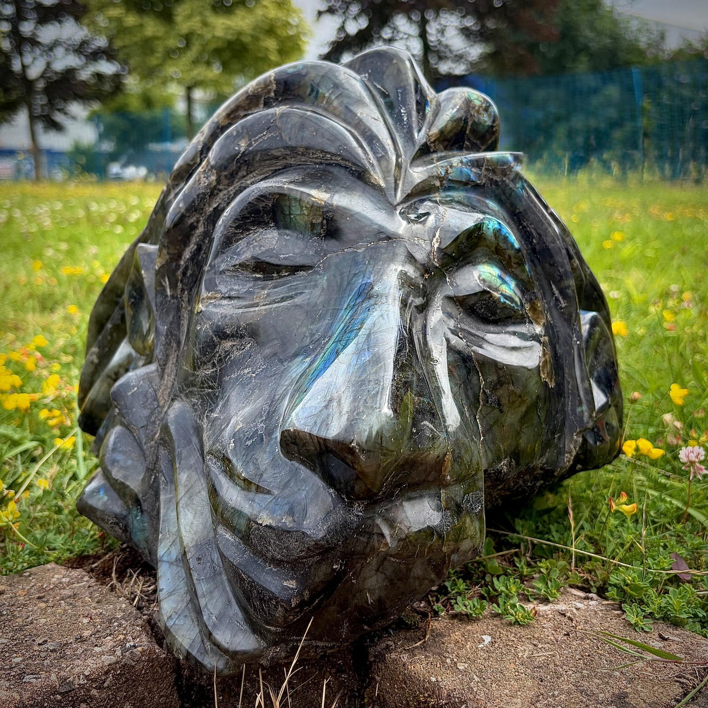 XL Hand-Carved Rastafarian Labradorite Multi-Faceted Lion Sculpture | 17.5KG