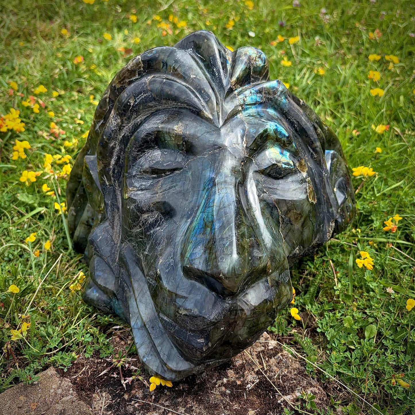 XL Hand-Carved Rastafarian Labradorite Multi-Faceted Lion Sculpture | 17.5KG