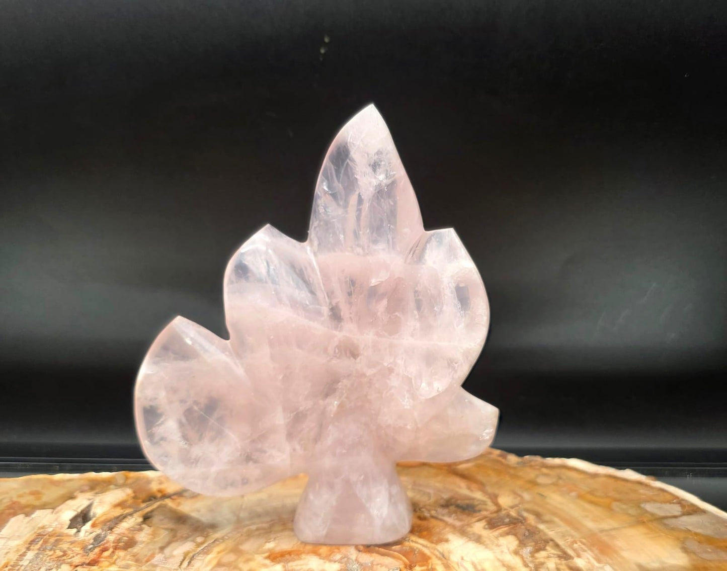 Large Rose Quartz leaf sculpture hand carved and polished in Madagascar. One-of-a-kind botanical crystal display for elegant interiors.