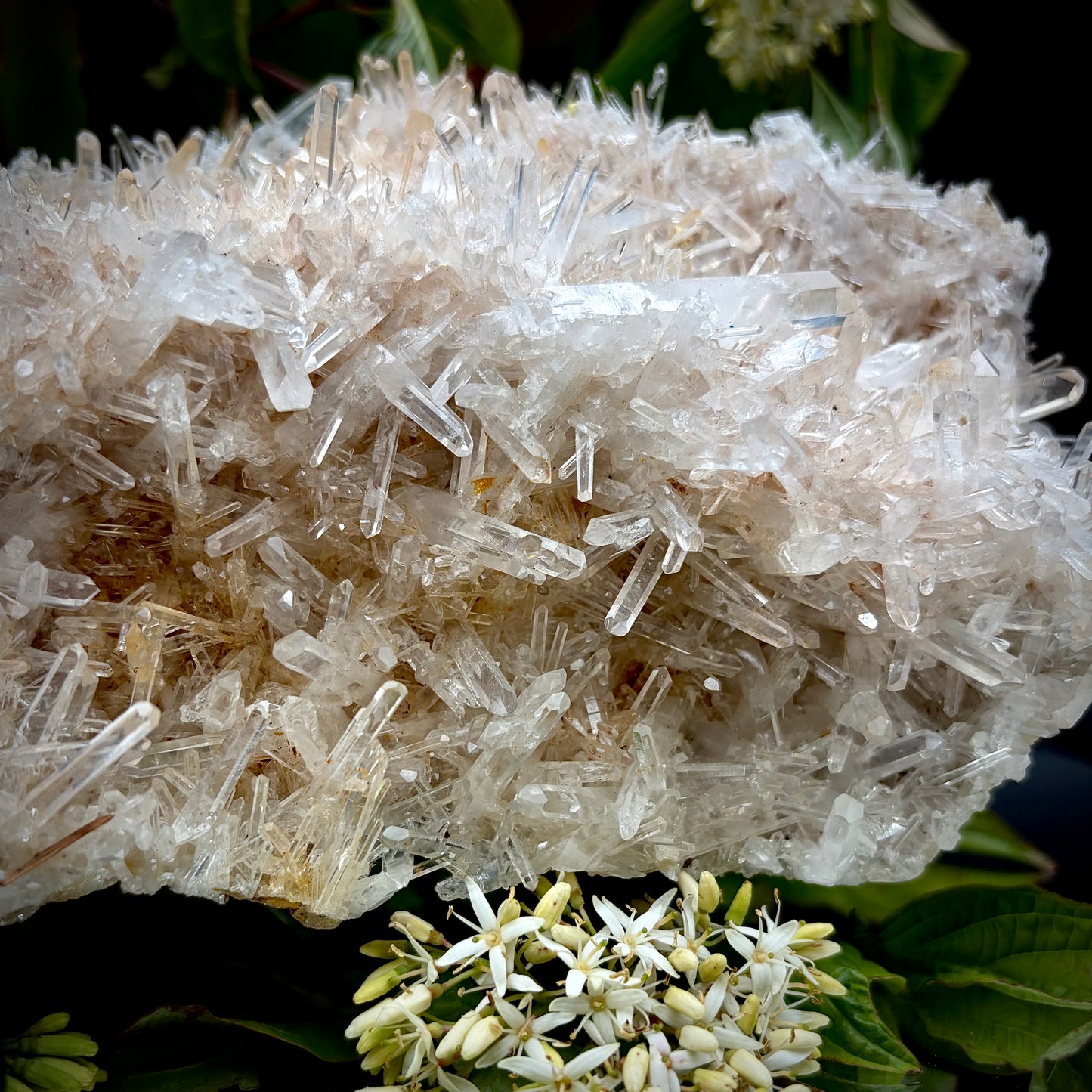 Close-up of the delicate, clear quartz points and crystalline growth on matrix.