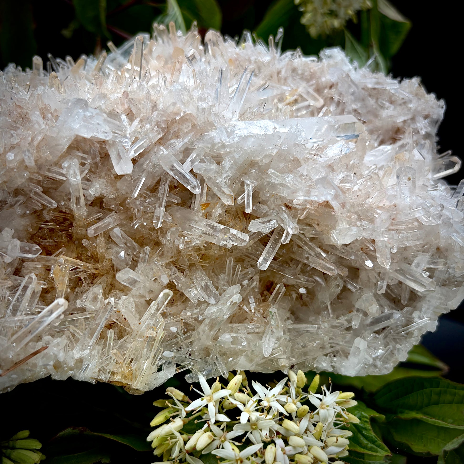 Close-up of the delicate, clear quartz points and crystalline growth on matrix.