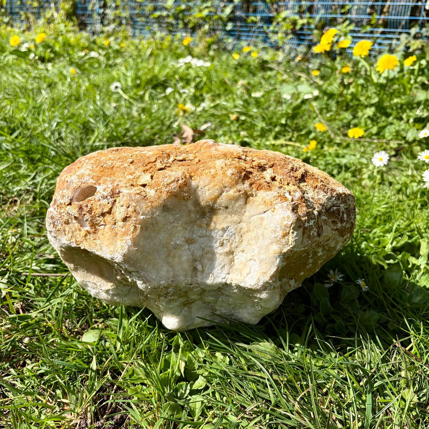 Extra Large Quartz & Selenite Crystal Geode – Natural Formation, Morocco