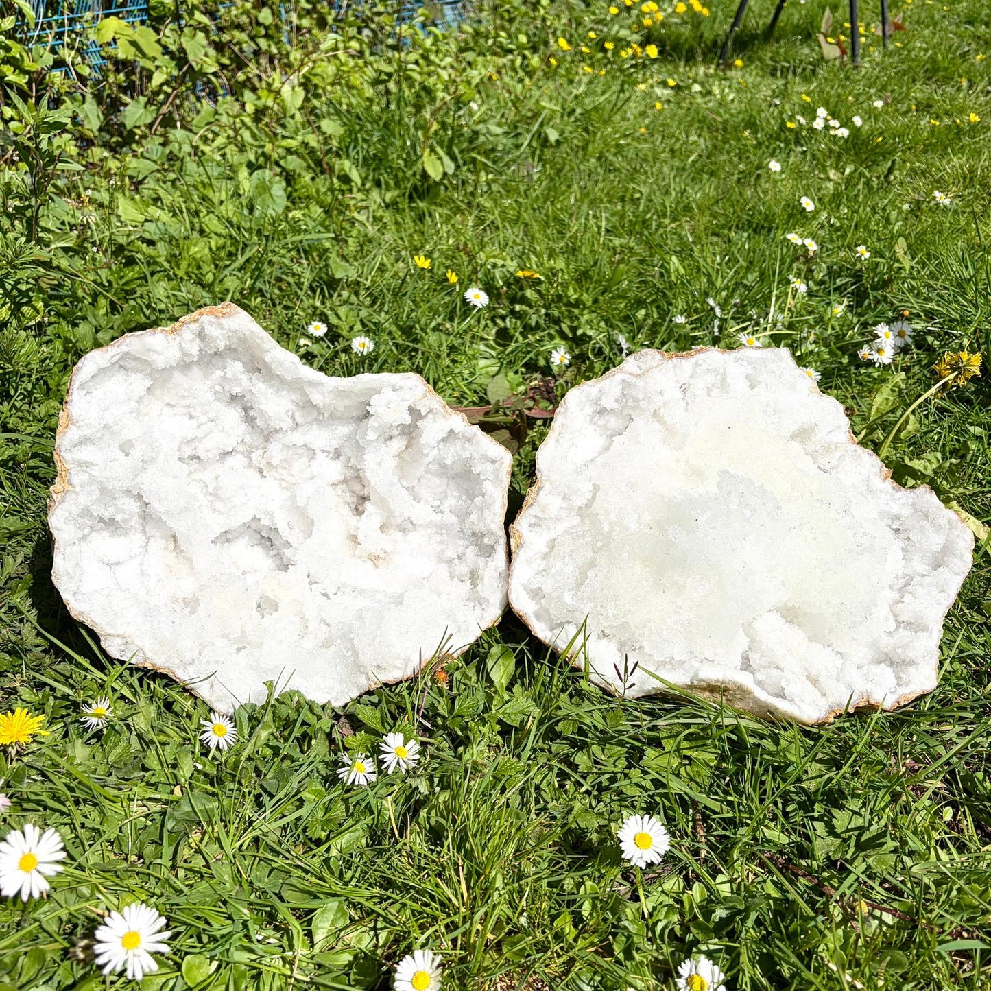 Extra Large Quartz & Selenite Crystal Geode – Natural Formation, Morocco