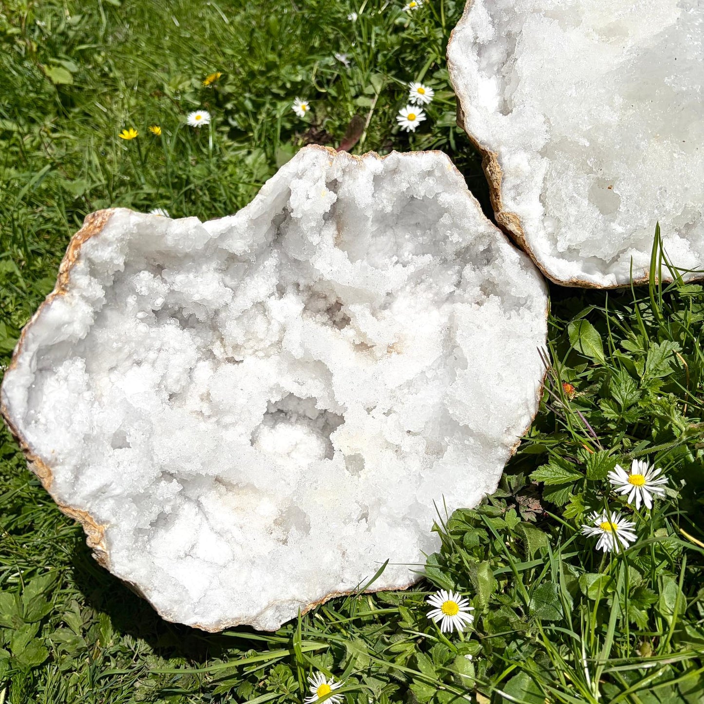 Extra Large Quartz & Selenite Crystal Geode – Natural Formation, Morocco