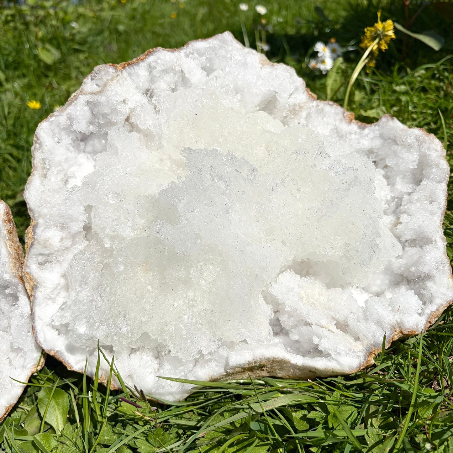 Extra Large Quartz & Selenite Crystal Geode – Natural Formation, Morocco