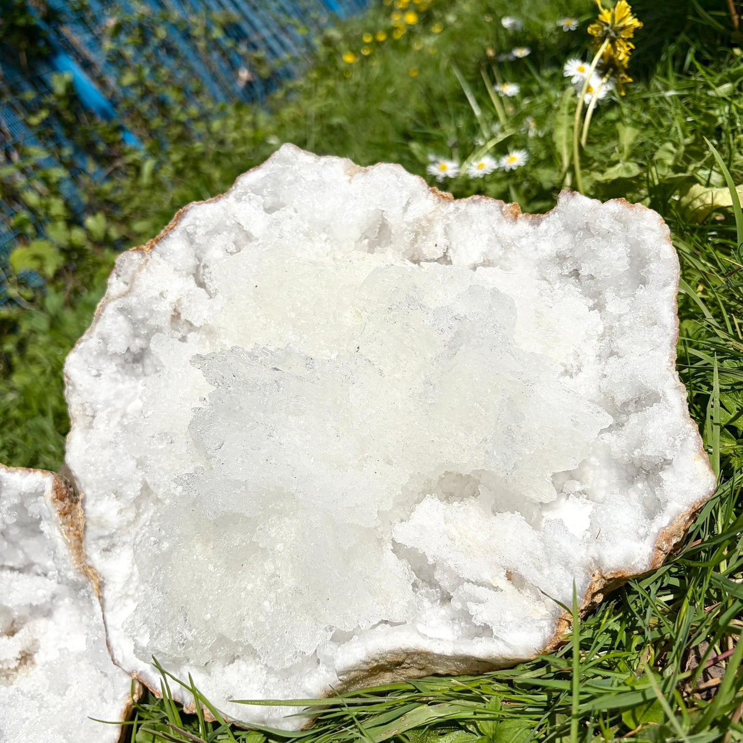 Extra Large Quartz & Selenite Crystal Geode – Natural Formation, Morocco