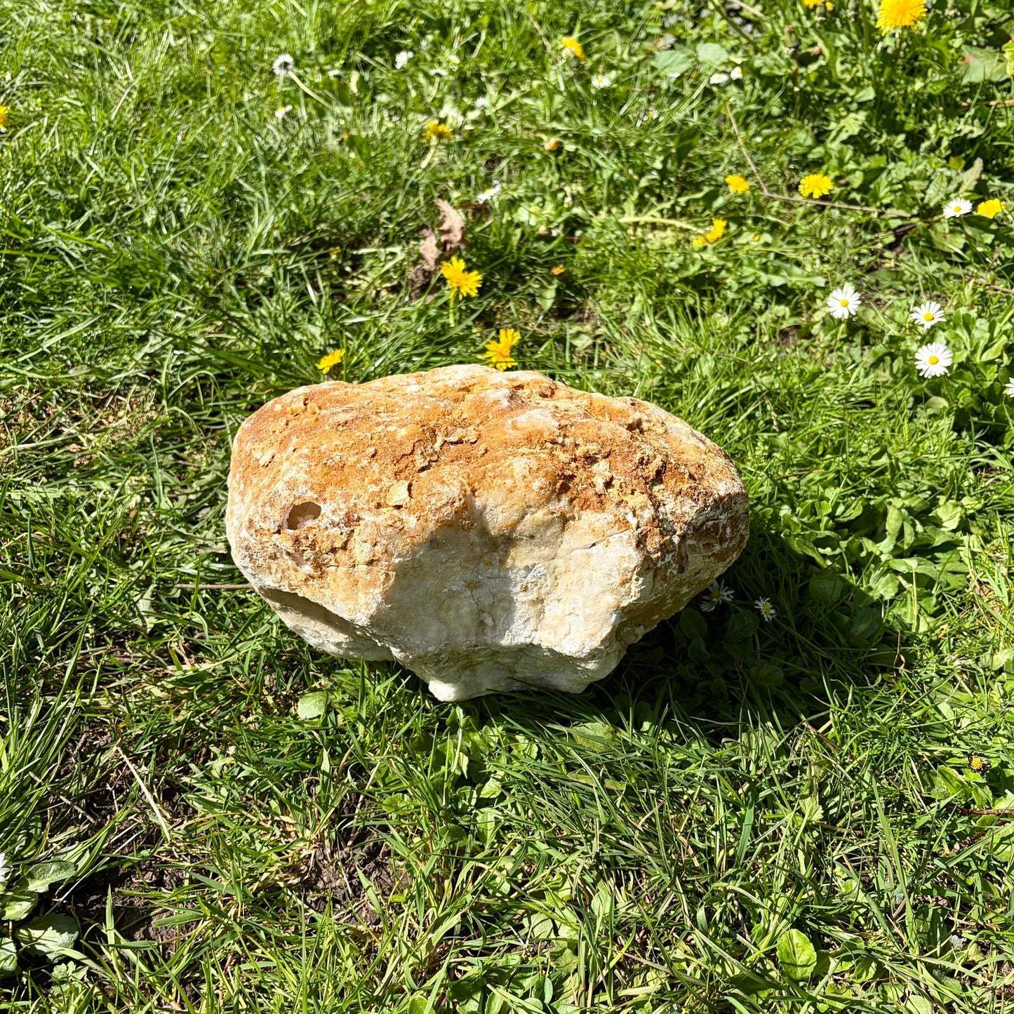 Extra Large Quartz & Selenite Crystal Geode – Natural Formation, Morocco