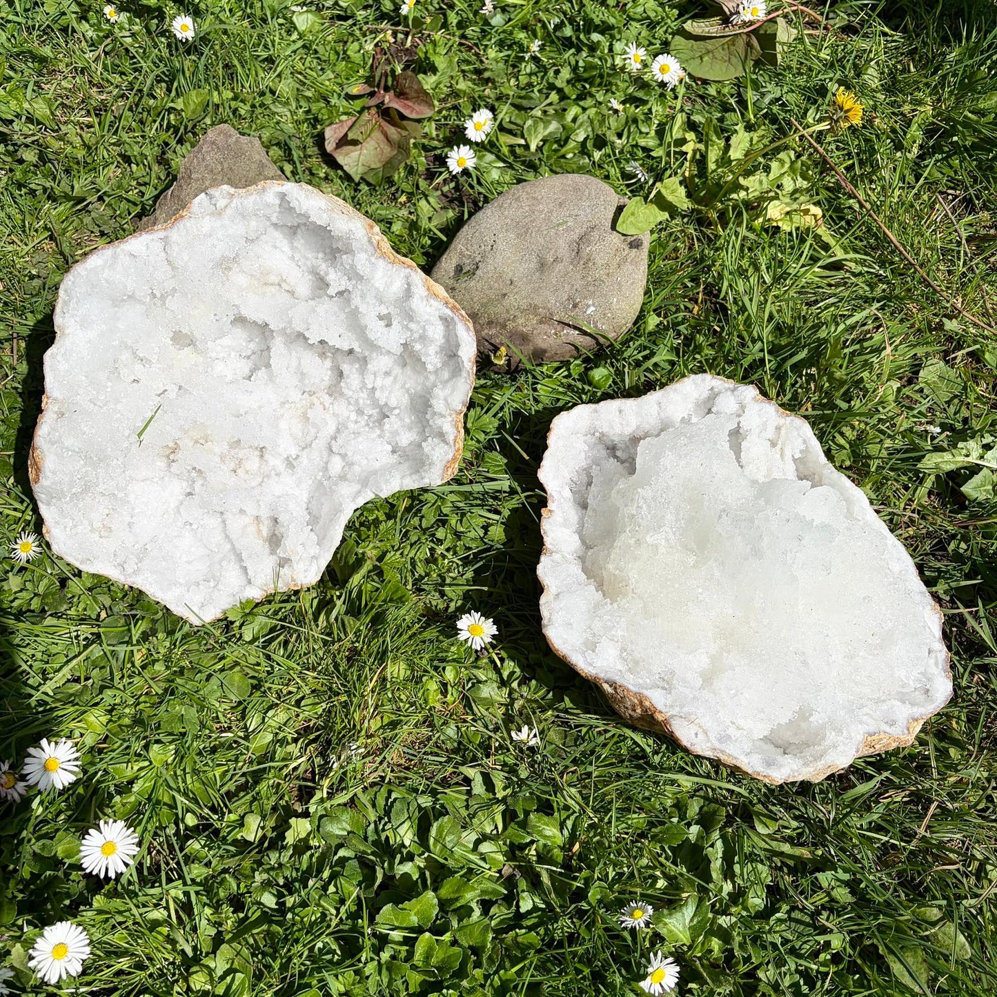 Extra Large Quartz & Selenite Crystal Geode – Natural Formation, Morocco