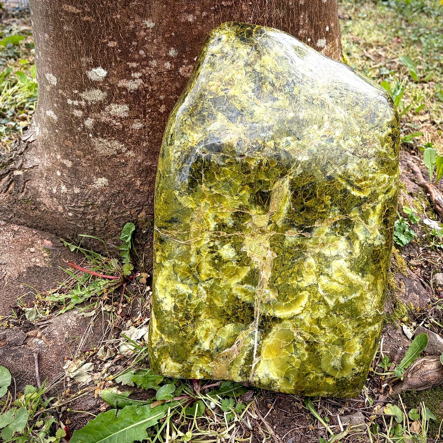 XXL Green Opal Crystal Freeform 19.5kg