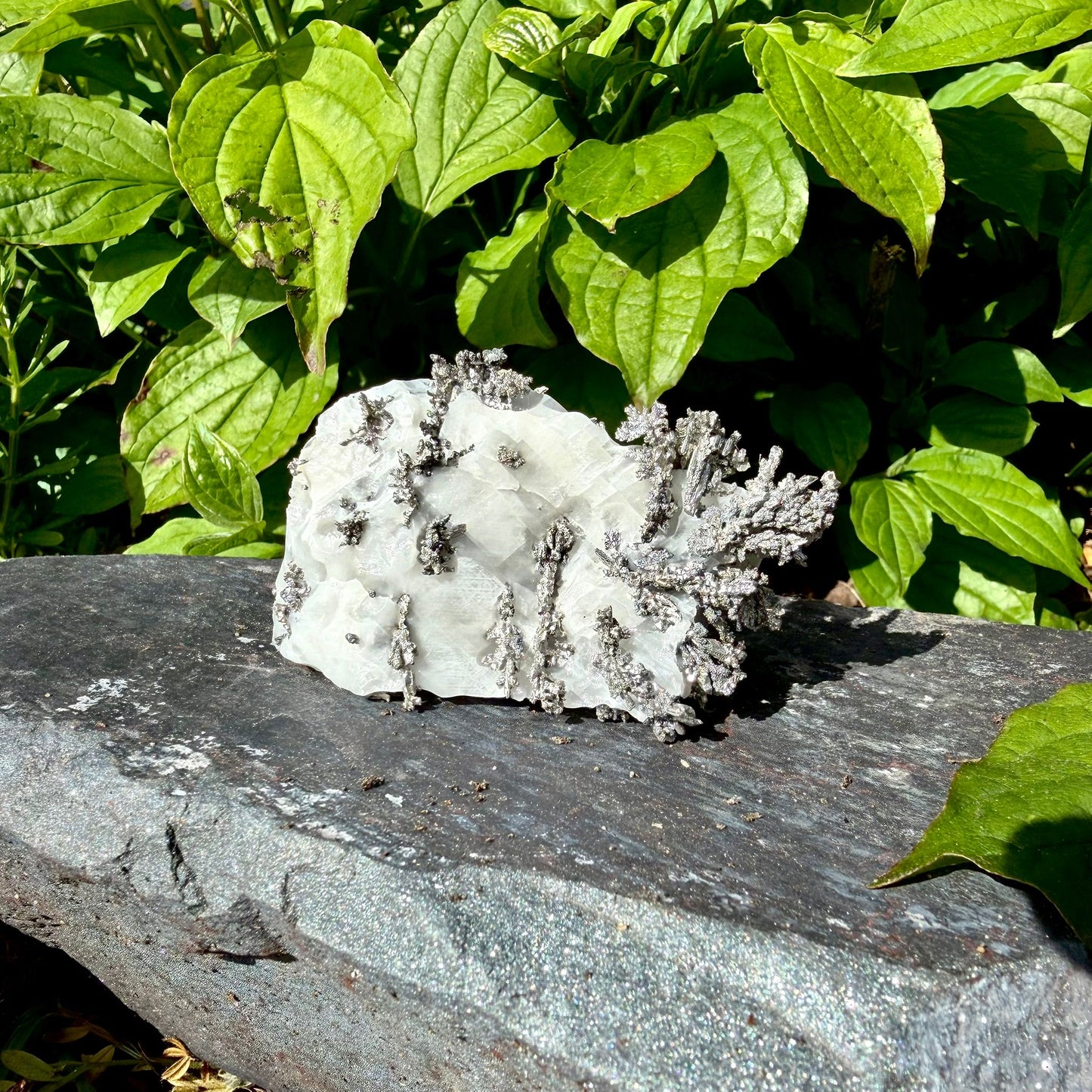 Natural Native Silver on Calcite Matrix | Collectors Mineral Specimen (B1 #1)
