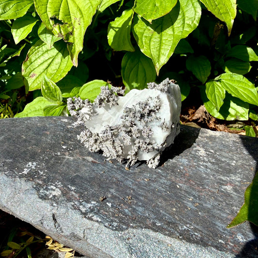 Natural Native Silver on Calcite Matrix | Collectors Mineral Specimen (B1 #1)