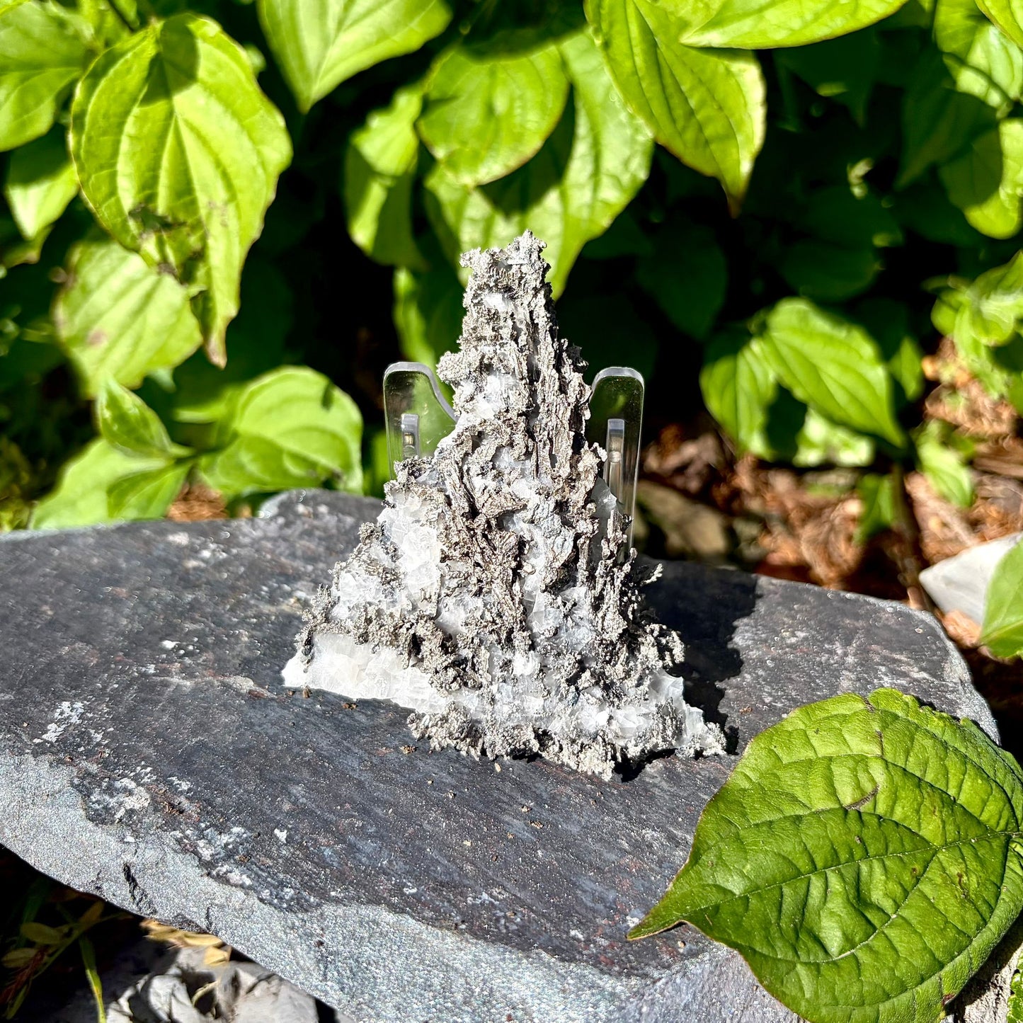 Natural Native Silver on Calcite Matrix | Collectors Mineral Specimen (B1 #2)